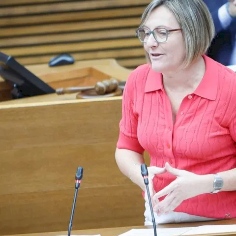 La portavoz adjunta del Grupo Socialista en Les Corts, María José Salvador