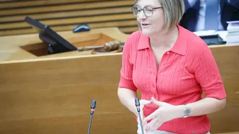 La portavoz adjunta del Grupo Socialista en Les Corts, María José Salvador La portavoz adjunta del Grupo Socialista en Les Corts, María José Salvador