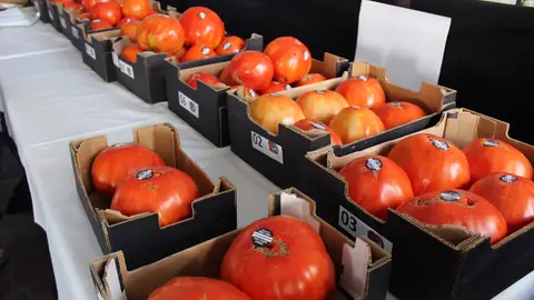El Tomate Huevo Toro celebra su gran fiesta del verano: Pepe Cobos paga 20.000 euros por la caja ganadora El Tomate Huevo Toro celebra su gran fiesta del verano: Pepe Cobos paga 20.000 euros por la caja ganadora