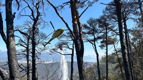 Adelpa tras el incendio de las Peñas de Riglos: "hay que ponerse las pilas, ya llegamos tarde" Adelpa tras el incendio de las Peñas de Riglos: "hay que ponerse las pilas, ya llegamos tarde"
