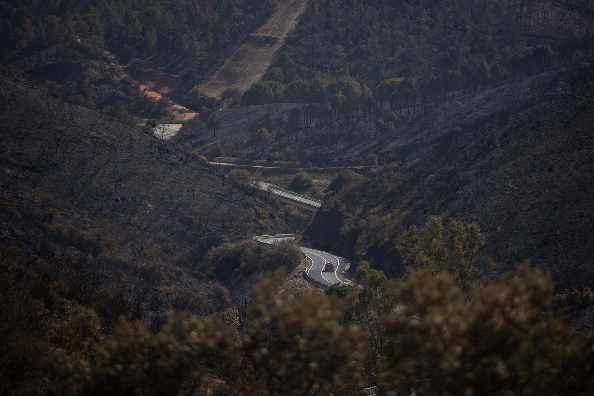 El Plan Infoca ha dado por controlado el incendio de Niebla después de dos intensas semanas El Plan Infoca ha dado por controlado el incendio de Niebla después de dos intensas semanas
