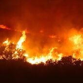 Incendio forestal en la Sierra Calderona