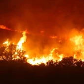 Incendio forestal en la Sierra Calderona Incendio forestal en la Sierra Calderona