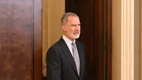 Imagen de archivo del rey Felipe VI Imagen de archivo del rey Felipe VI