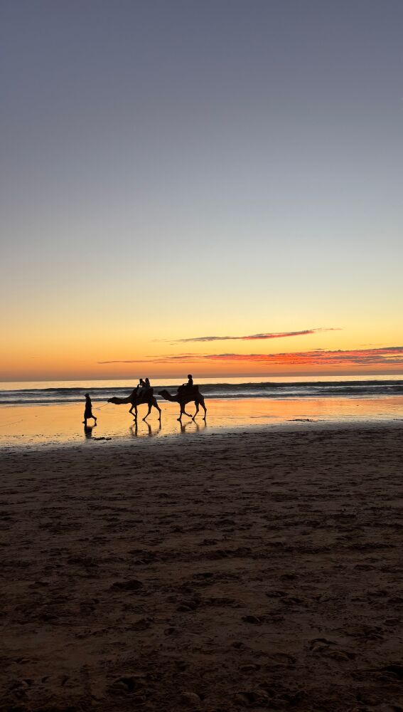 Puesta de sol con camellos en la playa de Agadir