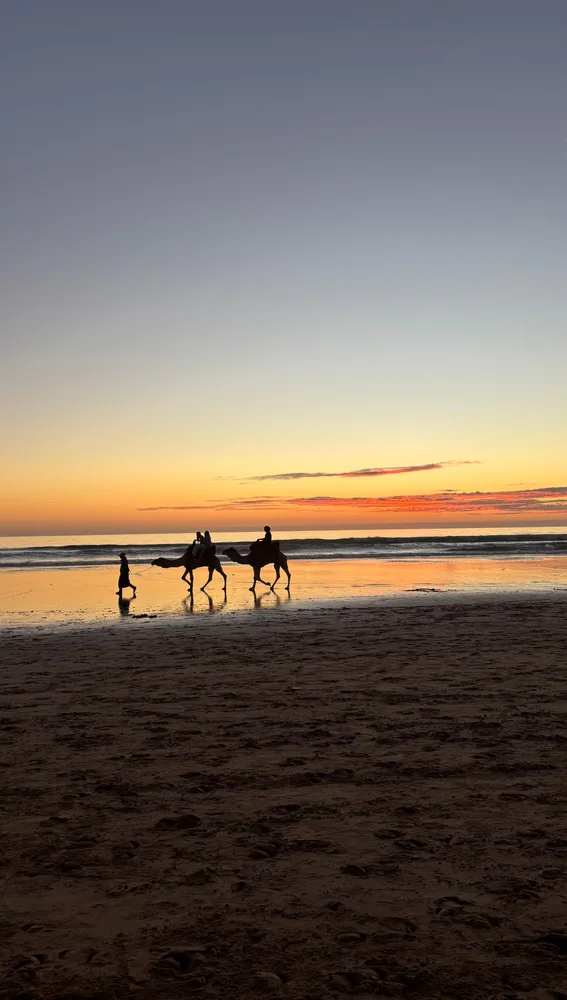 Puesta de sol con camellos en la playa de Agadir Puesta de sol con camellos en la playa de Agadir