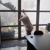 Tornado en Francia / MARION JOUVEAU / REUTERS Tornado en Francia / MARION JOUVEAU / REUTERS