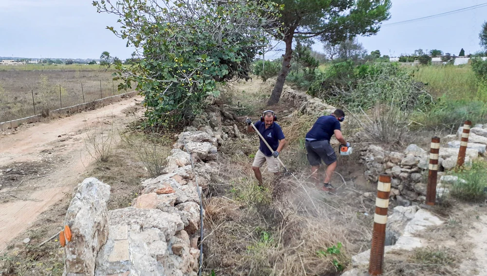 Comienzan los trabajos de limpieza de canales, acequias y cunetas en Formentera Comienzan los trabajos de limpieza de canales, acequias y cunetas en Formentera