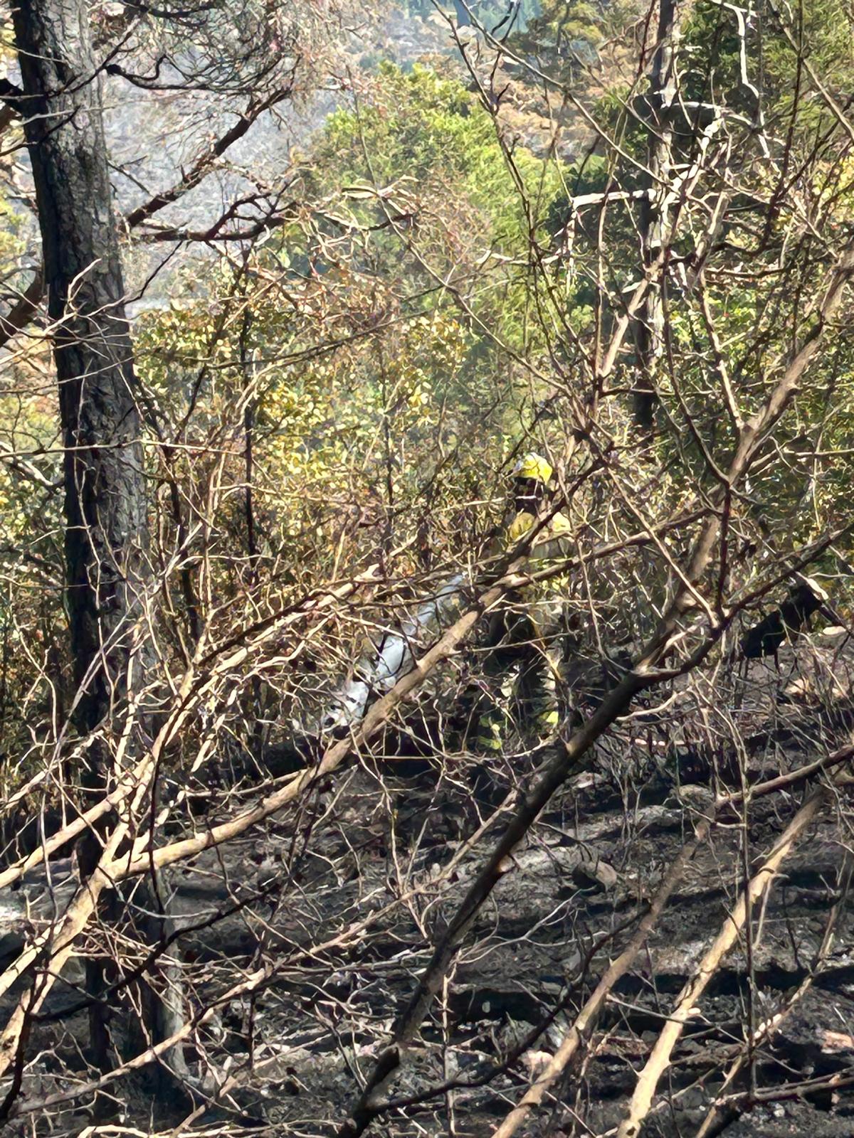 DGA y DPH impulsan anillos de prevención frente a incendios forestales en núcleos urbanos DGA y DPH impulsan anillos de prevención frente a incendios forestales en núcleos urbanos