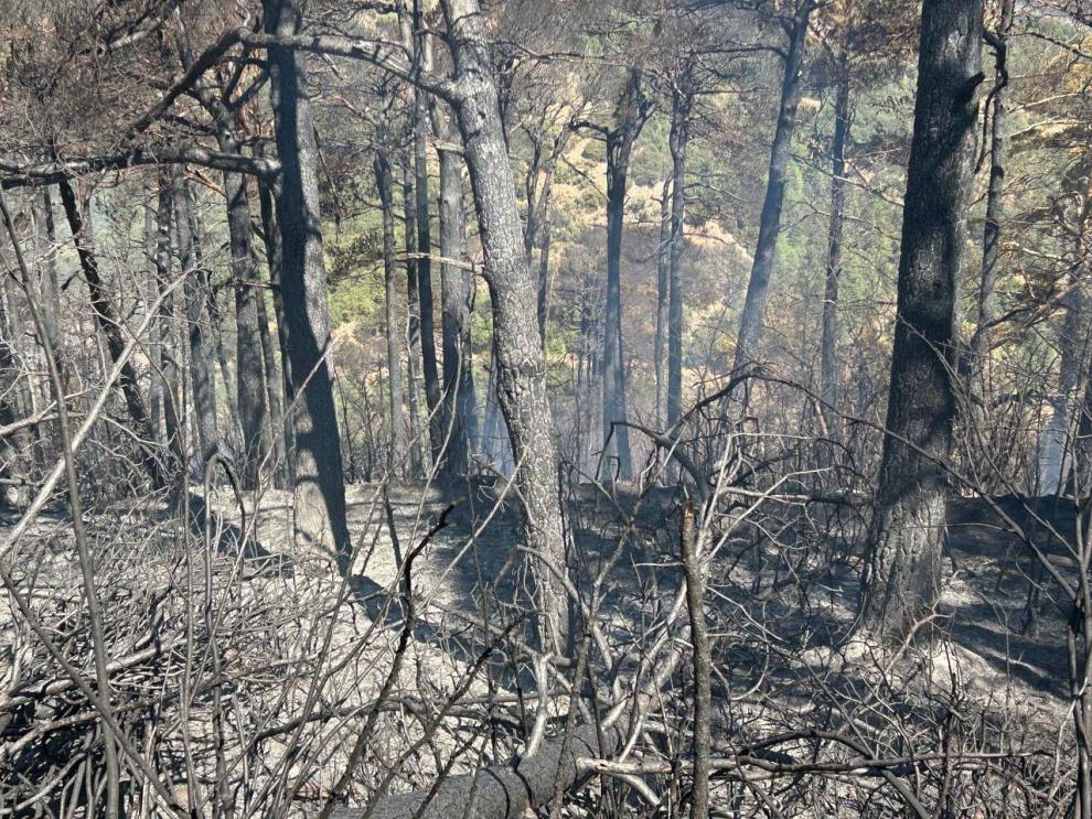 Los bomberos mantendrán la huelga mientras no se avance en las negociaciones Los bomberos mantendrán la huelga mientras no se avance en las negociaciones