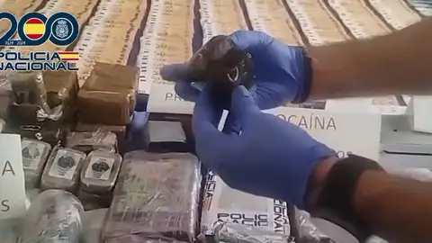Han sido doce los detenidos en esta operación Han sido doce los detenidos en esta operación