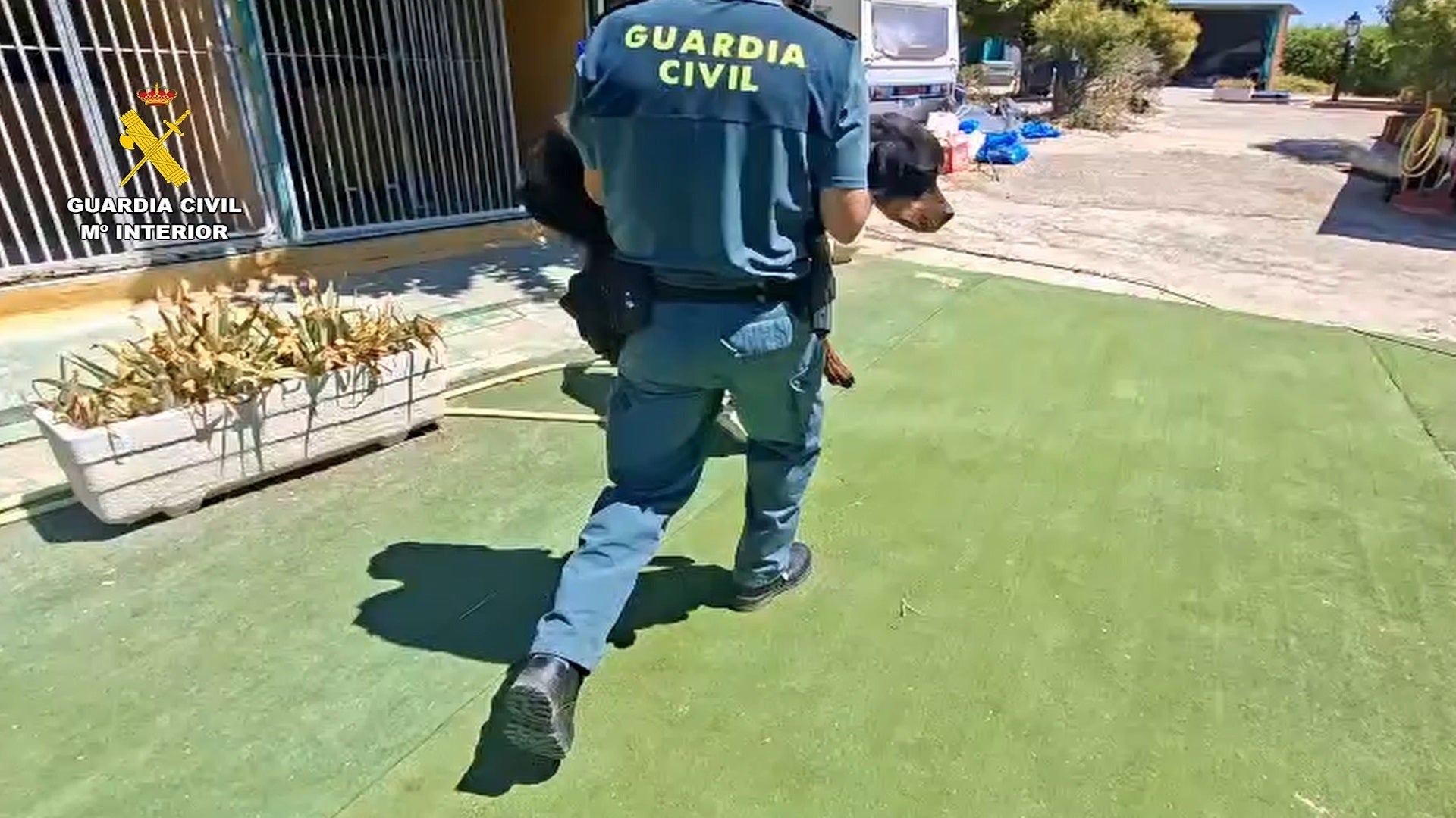 Hallan perros deshidratados y en extrema delgadez en una escuela canina de Navalcarnero Hallan perros deshidratados y en extrema delgadez en una escuela canina de Navalcarnero