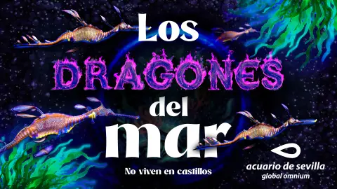 Los dragones del mar llegan al Acuario de Sevilla, una de las especies más extraordinarias del océano Los dragones del mar llegan al Acuario de Sevilla, una de las especies más extraordinarias del océano