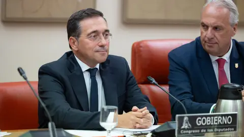Albares durante la comparecencia en la Comisión de Asuntos Exteriores. Albares durante la comparecencia en la Comisión de Asuntos Exteriores.