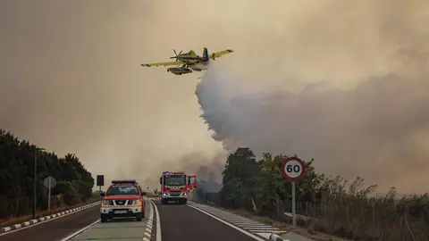 Una de las imágenes de los trabajos de extinción del incendio forestal de El Saler (València) de finales de agosto 2026 Una de las imágenes de los trabajos de extinción del incendio forestal de El Saler (València) de finales de agosto 2026