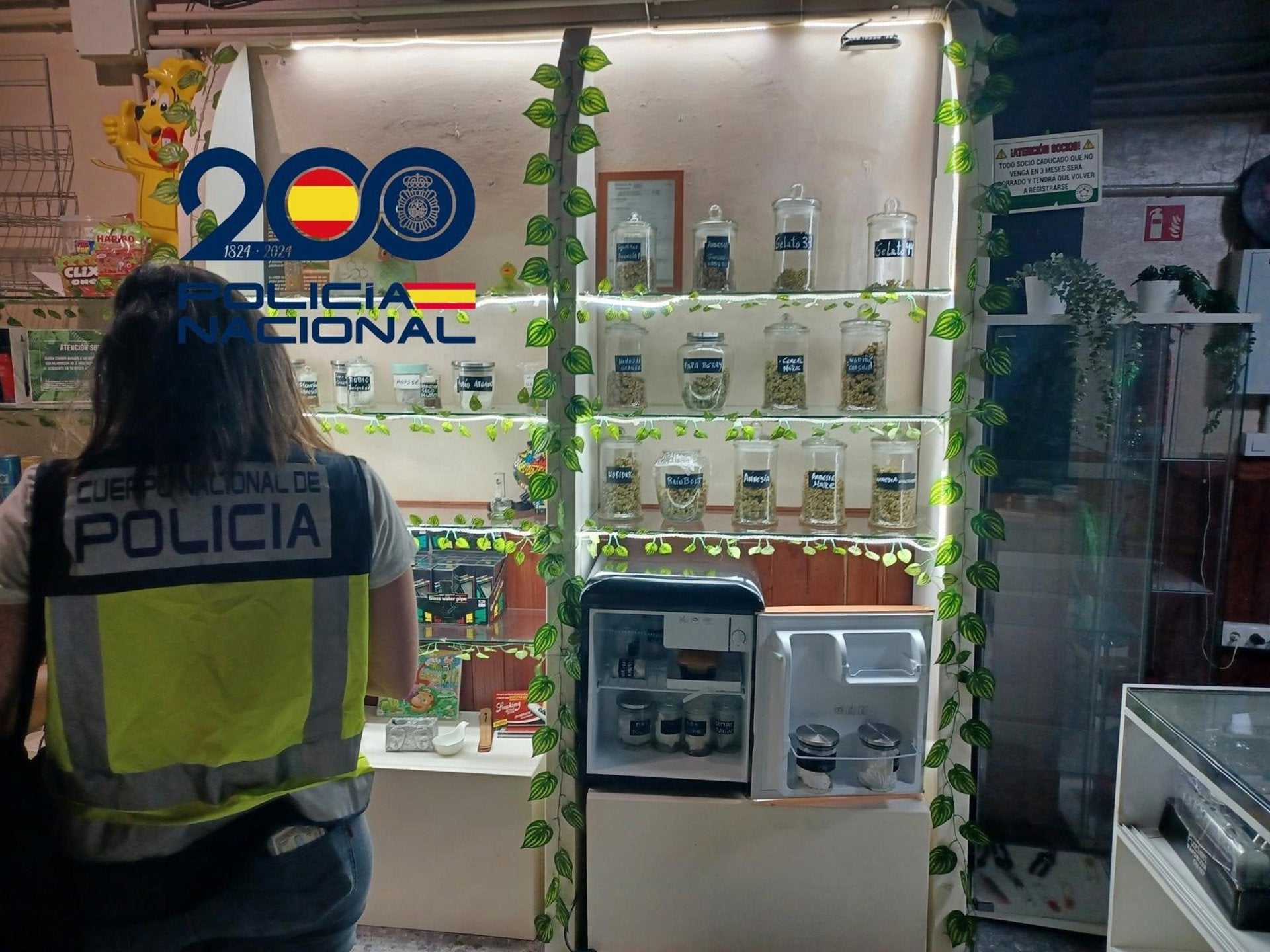 Desmantelada una organización criminal en una falsa asociación cannábica en Nervión Desmantelada una organización criminal en una falsa asociación cannábica en Nervión