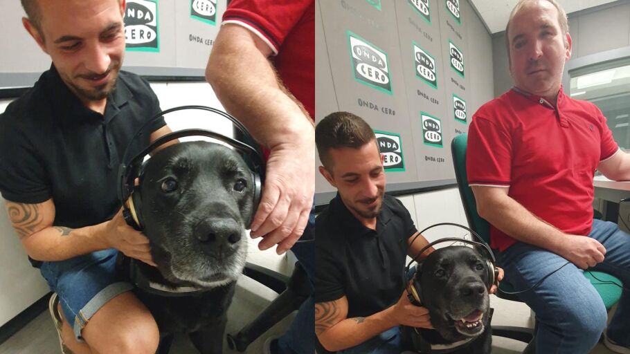 Vicente Galiana, gerente de Hatchi, Iker Fern&aacute;ndez y Preston. 