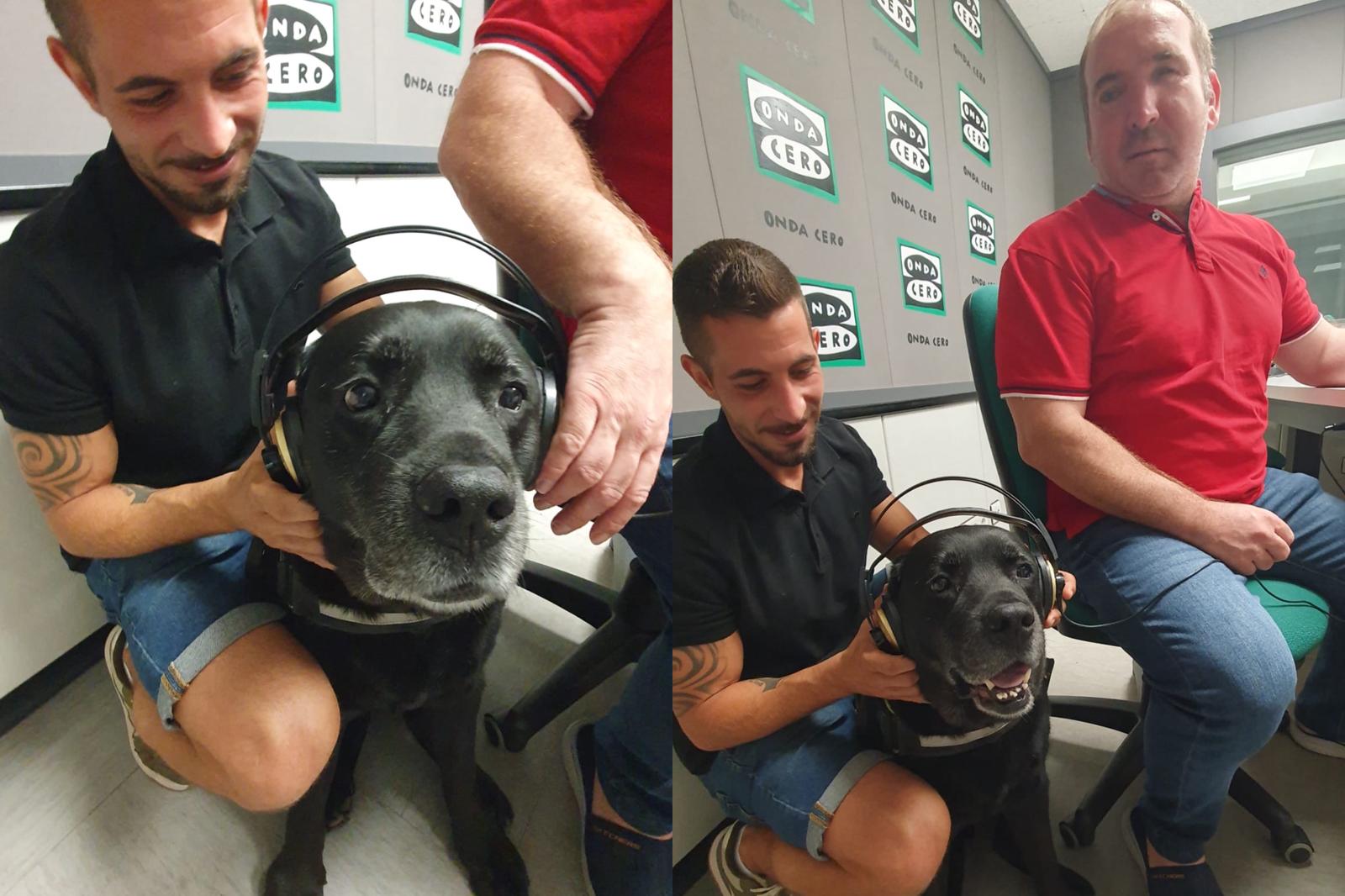 Un nuevo servicio permite transportar a las mascotas de forma exclusiva en Castellón Un nuevo servicio permite transportar a las mascotas de forma exclusiva en Castellón