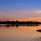 Pantanal de Paraguay Pantanal de Paraguay
