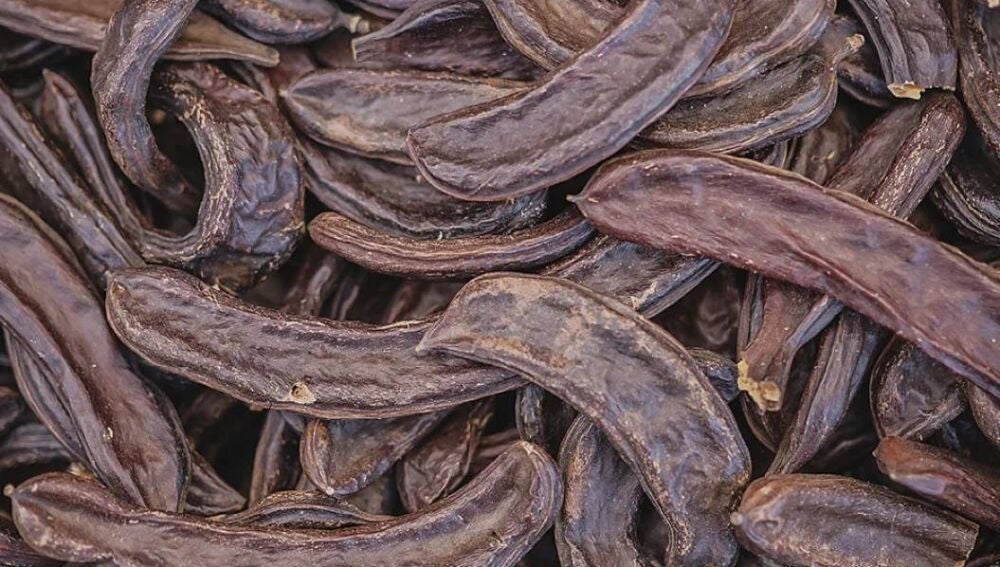 La algarroba es uno de los cultivos tradicionales de Ibiza