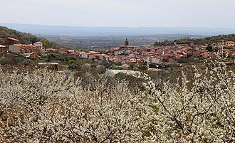 Constituida la comisión de seguimiento del convenio para garantizar el abastecimiento de agua a Pasarón y Cabezuela del Valle Constituida la comisión de seguimiento del convenio para garantizar el abastecimiento de agua a Pasarón y Cabezuela del Valle