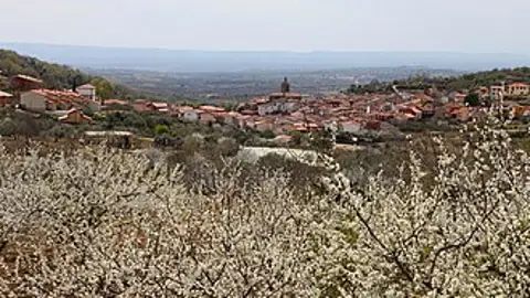 Constituida la comisión de seguimiento del convenio para garantizar el abastecimiento de agua a Pasarón y Cabezuela del Valle Constituida la comisión de seguimiento del convenio para garantizar el abastecimiento de agua a Pasarón y Cabezuela del Valle