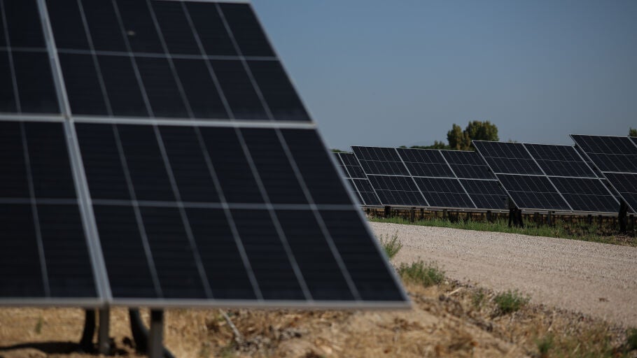 Placas solares del nuevo parque fotovoltaico del Aeropuerto Adolfo Su&aacute;rez Madrid-Barajas, a 2 de septiembre de 2026, en Madrid (Espa&ntilde;a). La planta cuenta con m&aacute;s de 235.000 paneles solares y una producci&oacute;n estimada de 212 GWh al a&ntilde;o, equivalente al consumo medio anual de unos 65.000 hogares. 02 SEPTIEMBRE 2026 Alejandro Mart&iacute;nez V&eacute;lez / Europa Press 02/09/2026