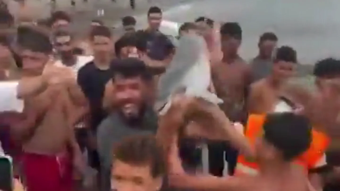 PACMA pide al Gobierno que investigue posible maltrato a una cría de delfín tras viralizarse un vídeo en redes PACMA pide al Gobierno que investigue posible maltrato a una cría de delfín tras viralizarse un vídeo en redes