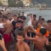 PACMA pide al Gobierno que investigue posible maltrato a una cría de delfín tras viralizarse un vídeo en redes
