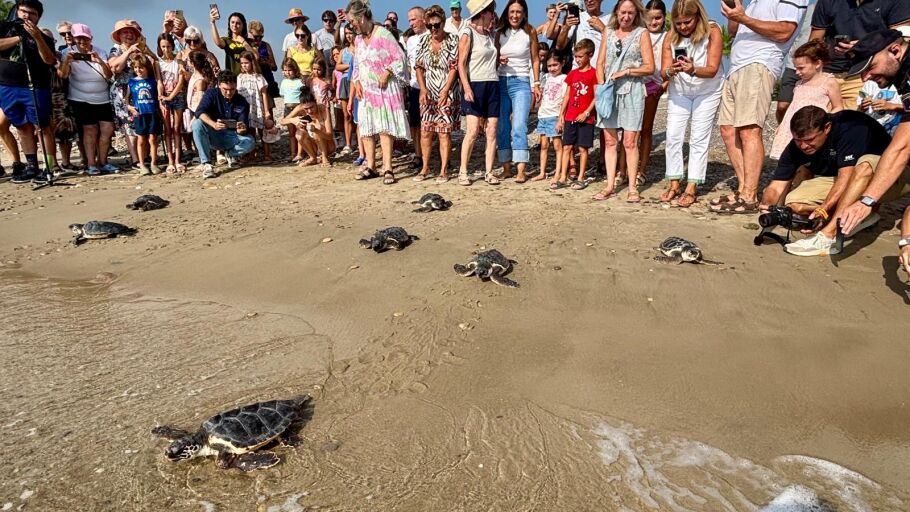 Gran expectaci&oacute;n en Almassora por el evento marino en la playa de Benfal&iacute;. 