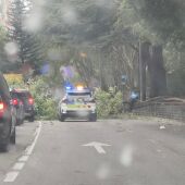 Carril cortado al tráfico en el paseo de las Carmelitas