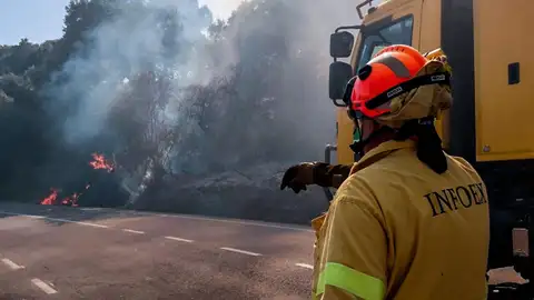 El Infoex interviene en 16 incendios forestales en la provincia de Badajoz y 4 en Cáceres en la última semana El Infoex interviene en 16 incendios forestales en la provincia de Badajoz y 4 en Cáceres en la última semana