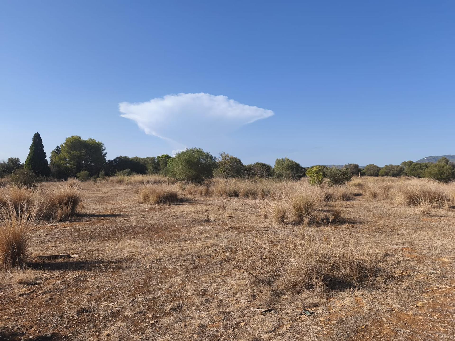 La Federación de Caza condena los disparos contra dos cazadores en un coto de Torreblanca La Federación de Caza condena los disparos contra dos cazadores en un coto de Torreblanca