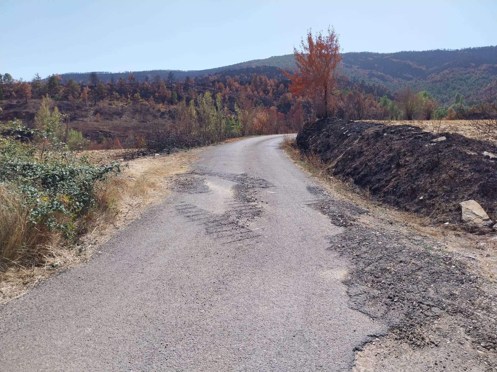 La DPH reparará cuatro carreteras afectadas por el incendio de las Peñas de Riglos La DPH reparará cuatro carreteras afectadas por el incendio de las Peñas de Riglos