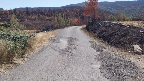 La DPH reparará cuatro carreteras afectadas por el incendio de las Peñas de Riglos La DPH reparará cuatro carreteras afectadas por el incendio de las Peñas de Riglos