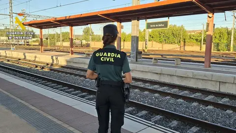 Detenido tras agredir a un guardia civil en la estación de tren de Venta de Baños .