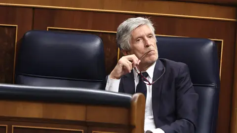 Fernando Grande-Marlaska durante la sesión del Congreso este miércoles Fernando Grande-Marlaska durante la sesión del Congreso este miércoles
