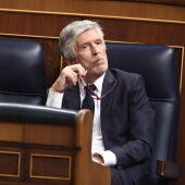 Fernando Grande-Marlaska durante la sesión del Congreso este miércoles 