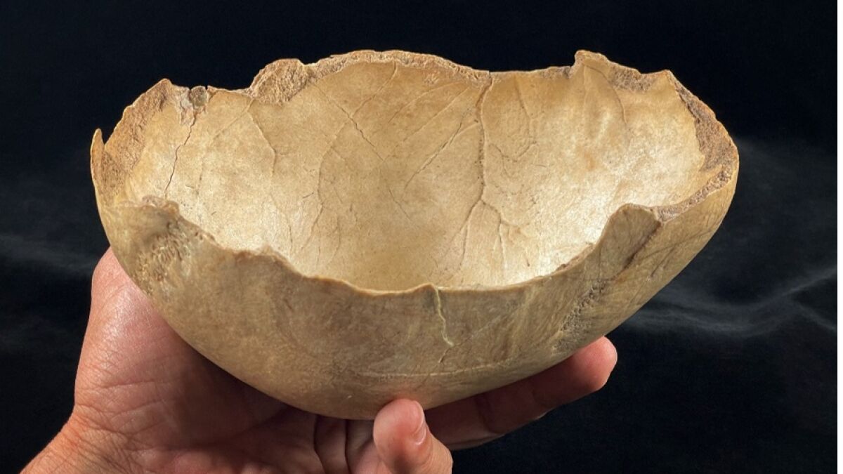 Investigadores del IAM colideran una investigación que revela que el canibalismo era una práctica recurrente en el Neolítico