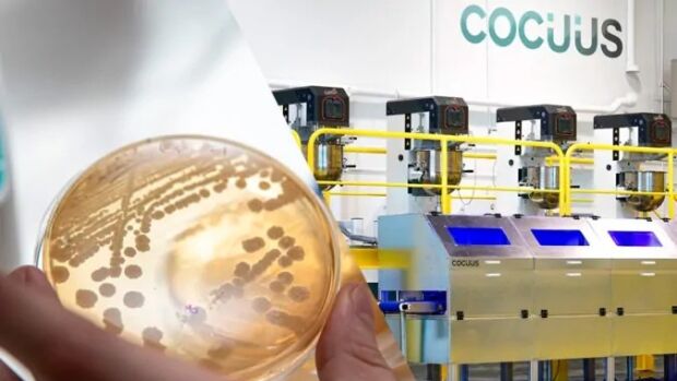 Moa Foodtech
