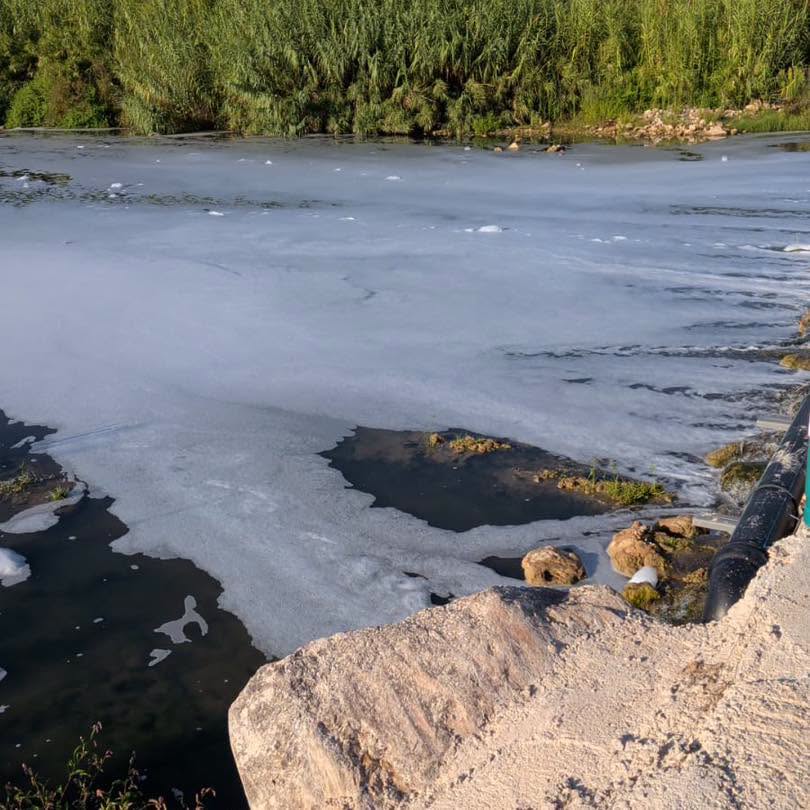 Vertidos químicos de una nave incendiada en Montserrat acaban en el Magro causando gran mortandad de peces episode artwork