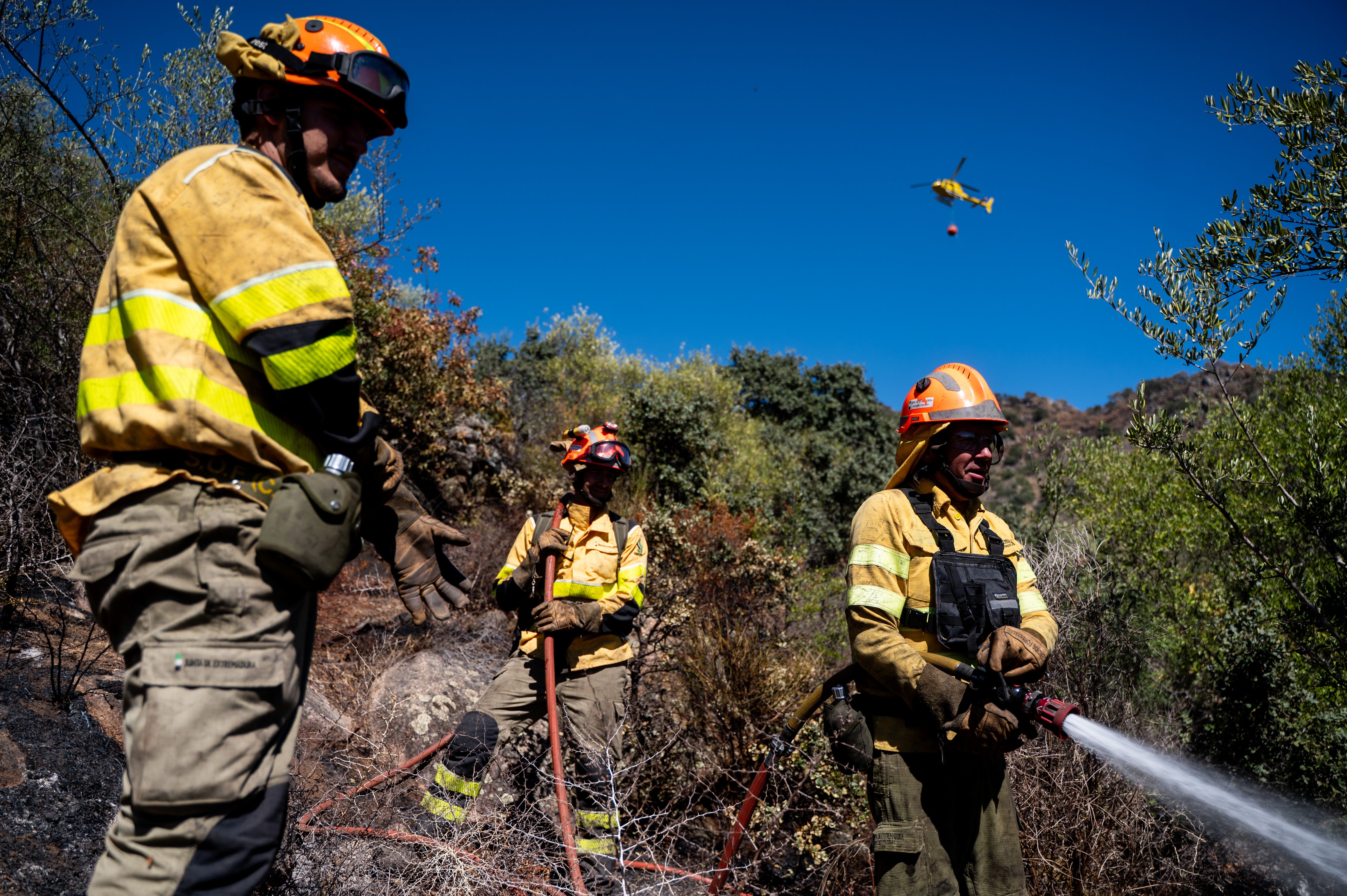 El Plan Infoex interviene en 15 incendios forestales en la última semana El Plan Infoex interviene en 15 incendios forestales en la última semana
