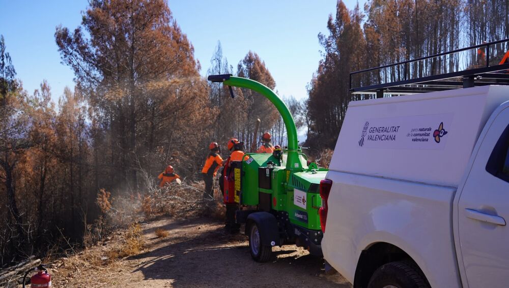 La Generalitat destina 684.594 euros a recuperar las zonas afectadas por el incendio de la Calderona