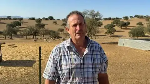 APAG Extremadura ASAJA inicia este lunes una acampada frente a la sede de Presidencia de La Junta en Mérida APAG Extremadura ASAJA inicia este lunes una acampada frente a la sede de Presidencia de La Junta en Mérida