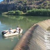 La CHJ retira 1500 kilos de peces muertos en el Magro