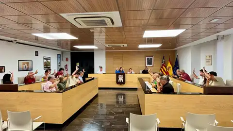 Almassora reclama frenar el nuevo deslinde de la costa y proteger el frente litoral. Almassora reclama frenar el nuevo deslinde de la costa y proteger el frente litoral.