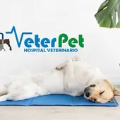 'Tu mascota en la Onda' VETERPET 'Tu mascota en la Onda' VETERPET