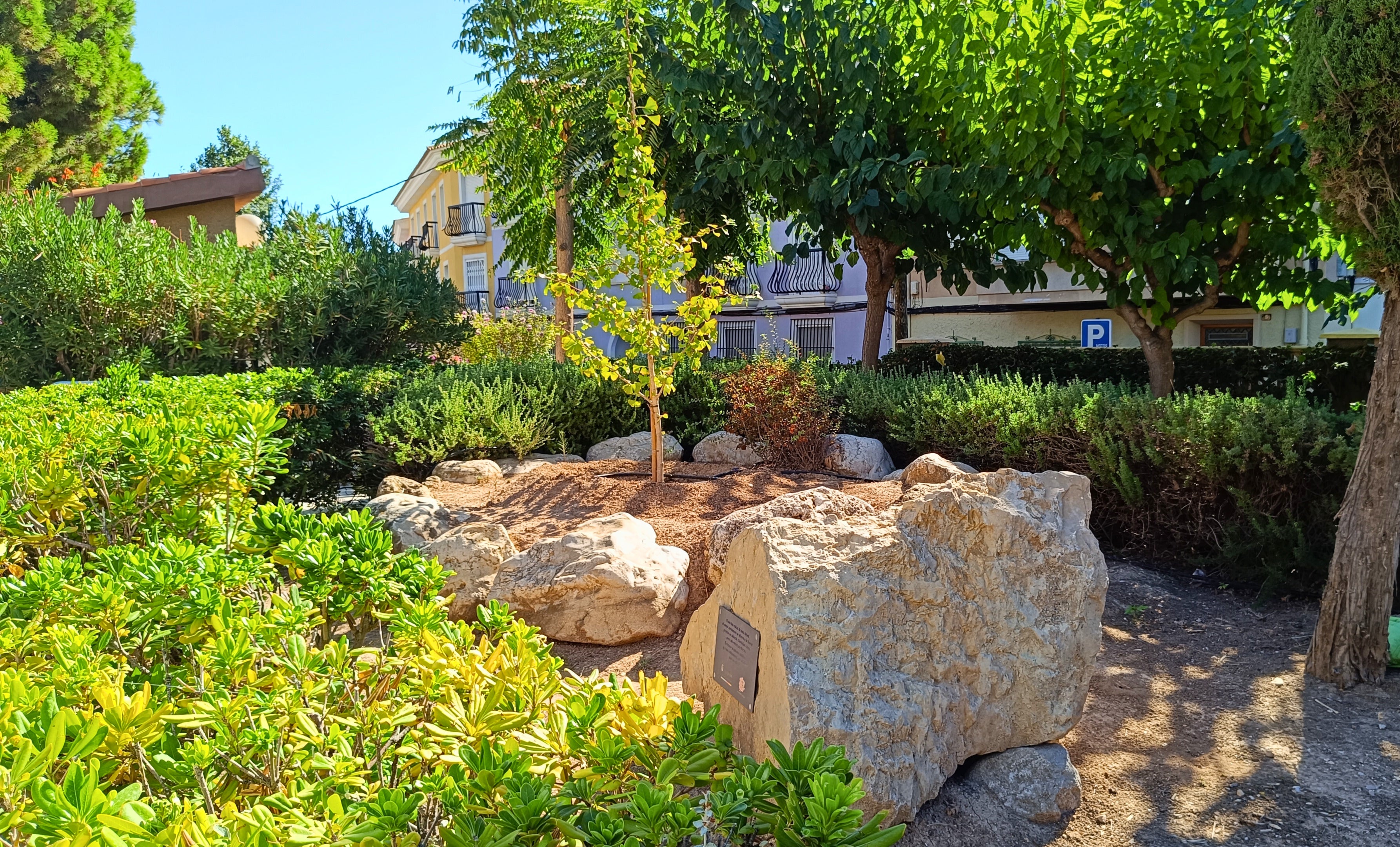 Villajoyosa planta un árbol de la memoria para dar visibilidad a las personas que padecen Alzheimer y a sus cuidadores Villajoyosa planta un árbol de la memoria para dar visibilidad a las personas que padecen Alzheimer y a sus cuidadores