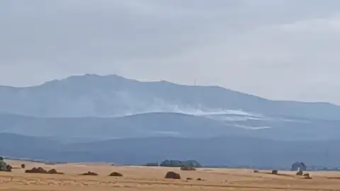 El Gobierno de CLM destinará más de 22 millones de euros a la recuperación tras el incendio de la Mierla El Gobierno de CLM destinará más de 22 millones de euros a la recuperación tras el incendio de la Mierla