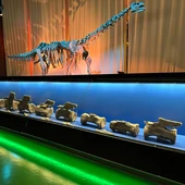 Hallan en Teruel el primer diplodocus fuera de Norteamérica/ EFE/ Fundación Dinópolis Hallan en Teruel el primer diplodocus fuera de Norteamérica/ EFE/ Fundación Dinópolis